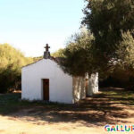 chiesa di san Pietro in catrea - Luogosanto