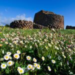 nuraghe Losa