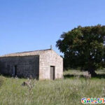 chiesa di san Simplicio - Tempio Pausania