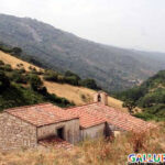 chiesa dello Spirito santo - Tempio Pausania