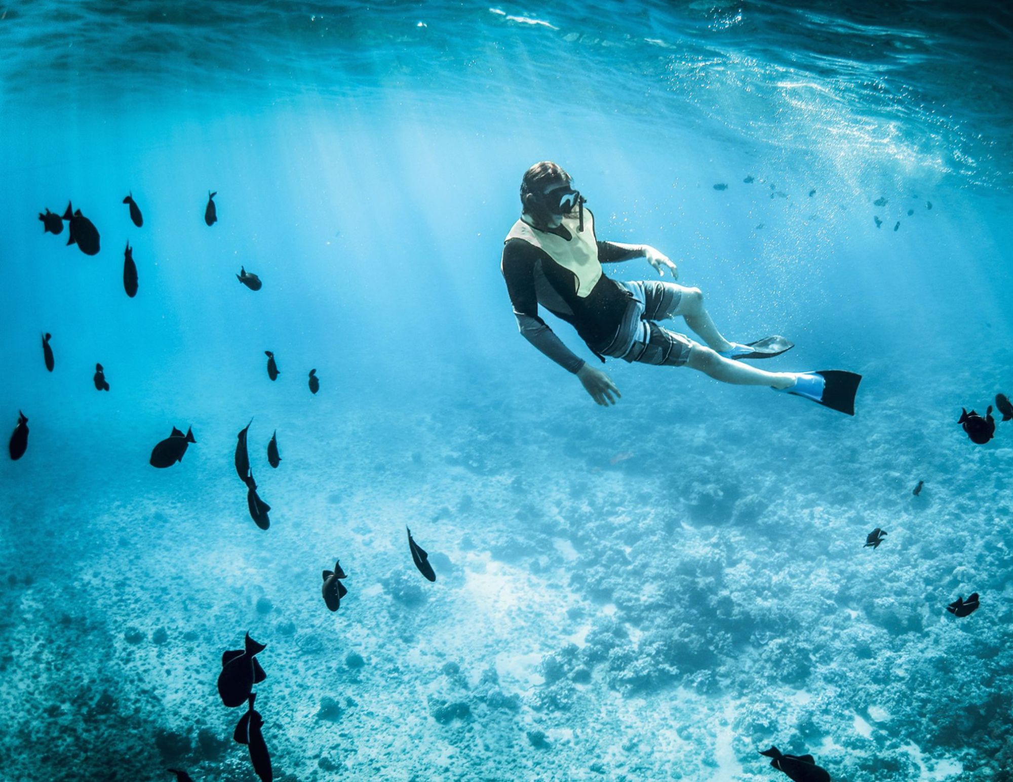 diving immersioni mare gallura in sardegna