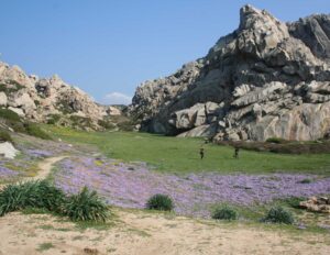 valle della luna1